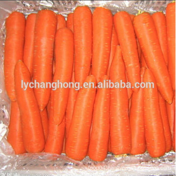 2014 local fresh carrot in different size from China